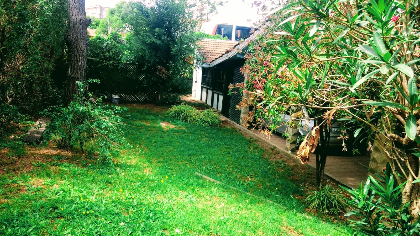 WhatsApp Image 2025-05-16 at 15.49.14.jpeg